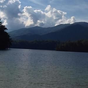 Meet your Posher, Robin